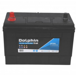 Batterie 12V Dolphin